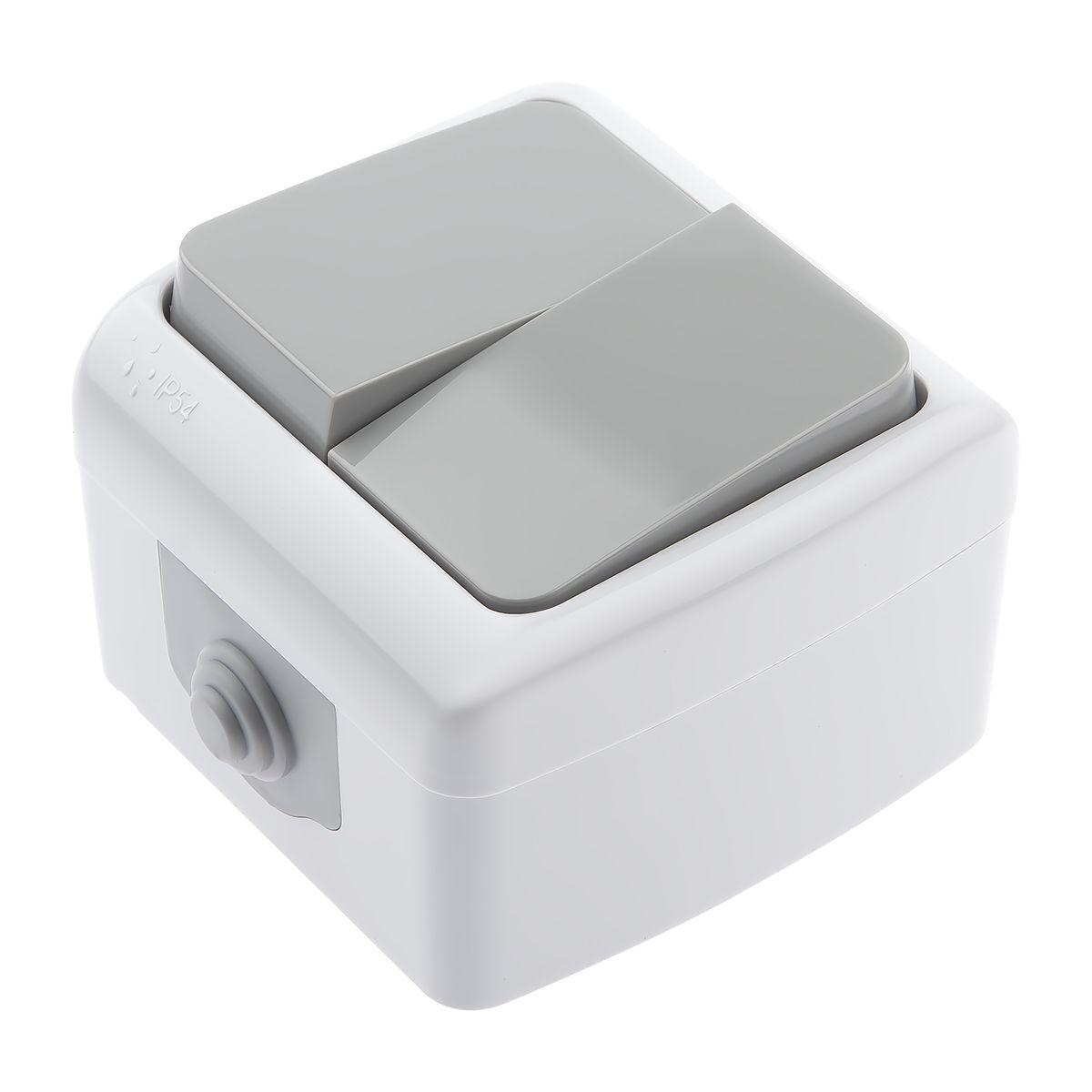 фото выключатель двухклавишный эра 10ax 250v 5-104-03 б0050943 | 220svet.ru