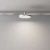 Миниатюра фото трековый магнитный светодиодный светильник maytoni plato flarity tr153-1-10w4k-pt | 220svet.ru