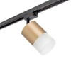 Миниатюра фото трековый светильник lightstar rullo (213490+592087+202481) r1t349081 | 220svet.ru