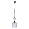 Миниатюра фото подвесной светильник indigo armonia 11001/1p nickel v000086 | 220svet.ru