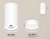 Миниатюра фото комплект накладного светильника ambrella light (c8161, n8477) xs8161007 | 220svet.ru
