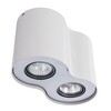 Миниатюра фото потолочный светильник arte lamp falcon a5633pl-2wh | 220svet.ru