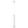 Миниатюра фото подвесной светодиодный светильник arte lamp altais a6110sp-2wh | 220svet.ru