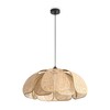 Миниатюра фото подвесной светильник freya cocoon fr5529pl-01b | 220svet.ru