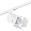 Миниатюра фото трековый светодиодный светильник lightstar (303264+202996) c326496 | 220svet.ru