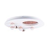 Миниатюра фото потолочный светодиодный светильник favourite plaides 4630-5c | 220svet.ru
