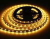 Миниатюра фото светодиодная лента rgbw+холодный белый ambrella light 10w/m 60led/m 5050smd rgbw+6500к 5m gs4403 | 220svet.ru