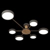 Миниатюра фото потолочный светильник loft it sunrise 10316/6 grey | 220svet.ru