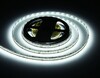 Миниатюра фото светодиодная лента холодный белый ambrella light 17w/m 240led/m 2835smd 6500к 5m gs1403 | 220svet.ru