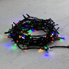Миниатюра фото гирлянда нить 10м разноцветная с мерцанием белого диода 24в, 100 led, провод черный пвх, ip54 ltc pst100blw-11-1m | 220svet.ru
