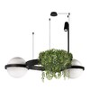 Миниатюра фото подвесной светильник loft it jardin 10121/2 | 220svet.ru