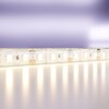 Миниатюра фото светодиодная влагозащищенная лента maytoni technical 9,6w/m 120led/m 2835smd теплый белый 5m 10111 | 220svet.ru