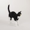 Миниатюра фото настольная лампа jobby the cat black & white | 220svet.ru