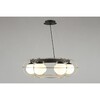 Миниатюра фото подвесная люстра aployt mahot apl.317.03.06 | 220svet.ru