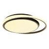 Миниатюра фото потолочный светодиодный светильник myfar ceiling cressida mr9110-cl | 220svet.ru