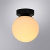 Миниатюра фото потолочный светильник arte lamp alcor a2224pl-1bk | 220svet.ru