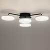 Миниатюра фото потолочная светодиодная люстра с пультом ду lumion didana 8236/4cl черный | 220svet.ru