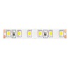 Миниатюра фото светодиодная лента maytoni led strip 24в 10153 | 220svet.ru