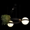 Миниатюра фото подвесной светильник loft it jardin 10121/2 | 220svet.ru