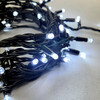 Миниатюра фото гирлянда нить 10м белая 24в, 75 led, провод черный каучук, ip65 ltc ll75-1-1w | 220svet.ru